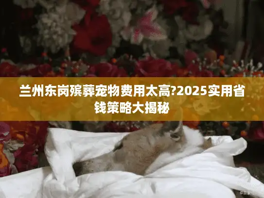 兰州东岗殡葬宠物费用太高?2025实用省钱策略大揭秘