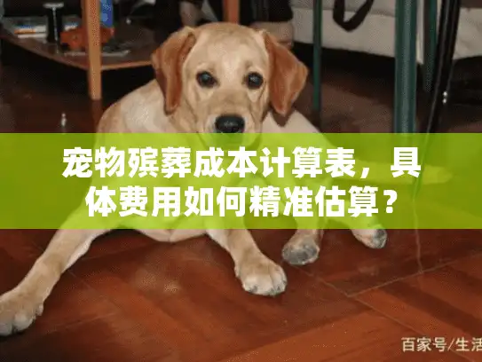宠物殡葬成本计算表，具体费用如何精准估算？