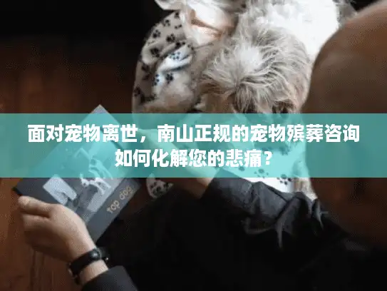 面对宠物离世，南山正规的宠物殡葬咨询如何化解您的悲痛？