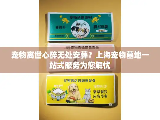 宠物离世心碎无处安葬？上海宠物墓地一站式服务为您解忧