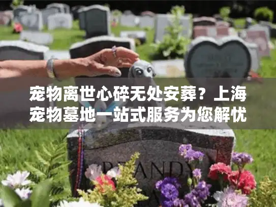 宠物离世心碎无处安葬？上海宠物墓地一站式服务为您解忧