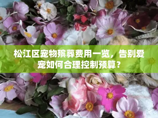 松江区宠物殡葬费用一览，告别爱宠如何合理控制预算？