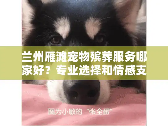 兰州雁滩宠物殡葬服务哪家好？专业选择和情感支持指南