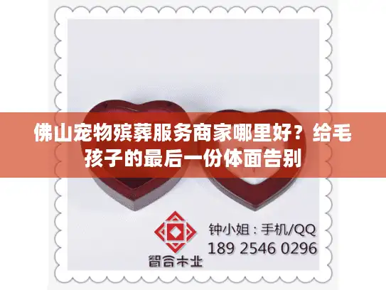 佛山宠物殡葬服务商家哪里好？给毛孩子的最后一份体面告别