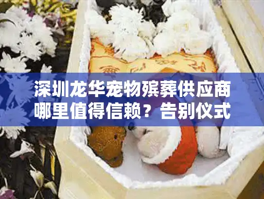 深圳龙华宠物殡葬供应商哪里值得信赖？告别仪式和服务套餐详解