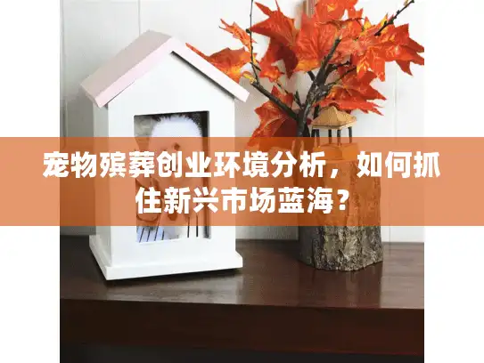 宠物殡葬创业环境分析，如何抓住新兴市场蓝海？