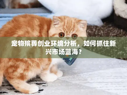 宠物殡葬创业环境分析，如何抓住新兴市场蓝海？