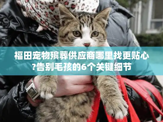 福田宠物殡葬供应商哪里找更贴心?告别毛孩的6个关键细节