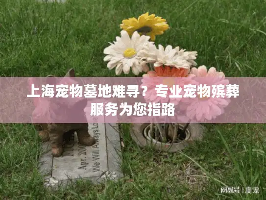 上海宠物墓地难寻？专业宠物殡葬服务为您指路