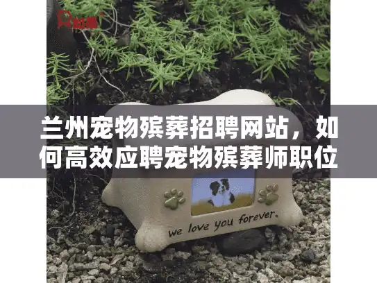 兰州宠物殡葬招聘网站，如何高效应聘宠物殡葬师职位？