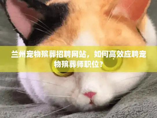 兰州宠物殡葬招聘网站，如何高效应聘宠物殡葬师职位？