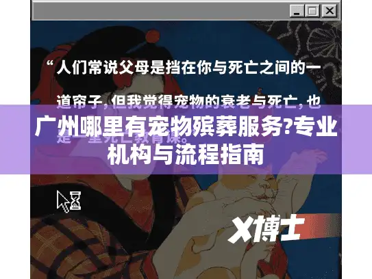 广州哪里有宠物殡葬服务?专业机构与流程指南
