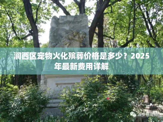 涧西区宠物火化殡葬价格是多少？2025年最新费用详解