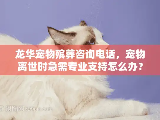 龙华宠物殡葬咨询电话，宠物离世时急需专业支持怎么办？