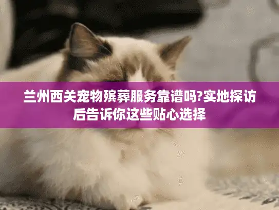 兰州西关宠物殡葬服务靠谱吗?实地探访后告诉你这些贴心选择