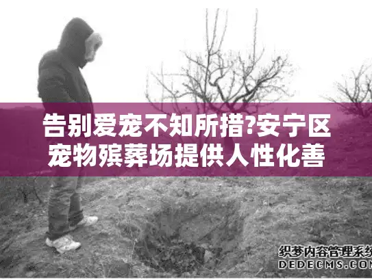 告别爱宠不知所措?安宁区宠物殡葬场提供人性化善终服务