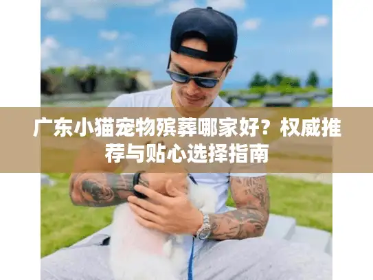广东小猫宠物殡葬哪家好？权威推荐与贴心选择指南
