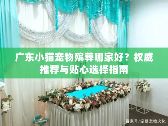 广东小猫宠物殡葬哪家好？权威推荐与贴心选择指南