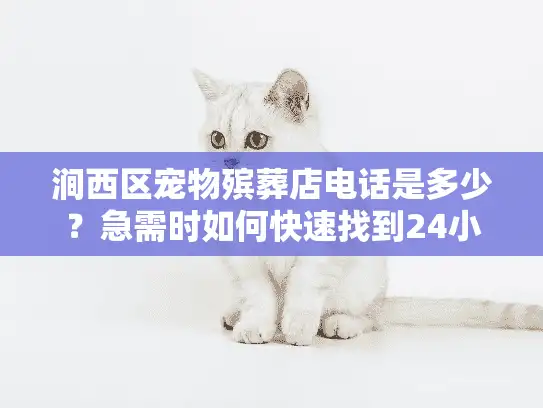 涧西区宠物殡葬店电话是多少？急需时如何快速找到24小时服务？