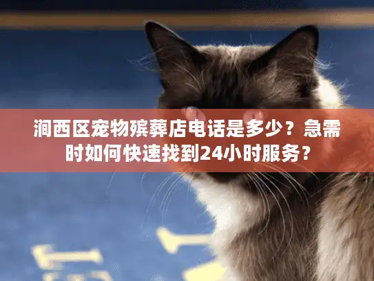 涧西区宠物殡葬店电话是多少？急需时如何快速找到24小时服务？