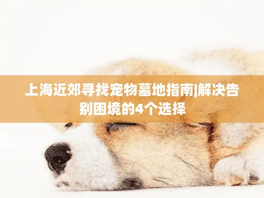 上海近郊寻找宠物墓地指南|解决告别困境的4个选择