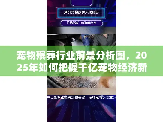 宠物殡葬行业前景分析图，2025年如何把握千亿宠物经济新蓝海