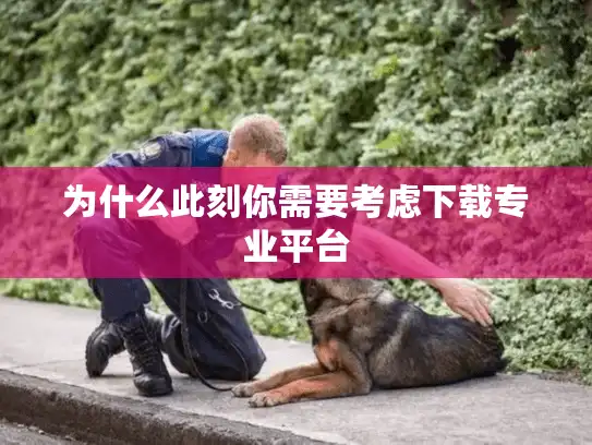 为什么此刻你需要考虑下载专业平台