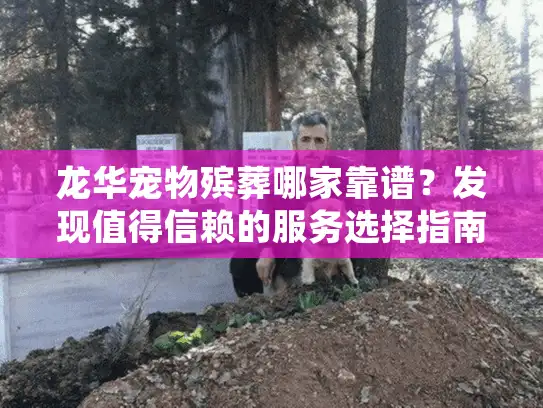 龙华宠物殡葬哪家靠谱？发现值得信赖的服务选择指南