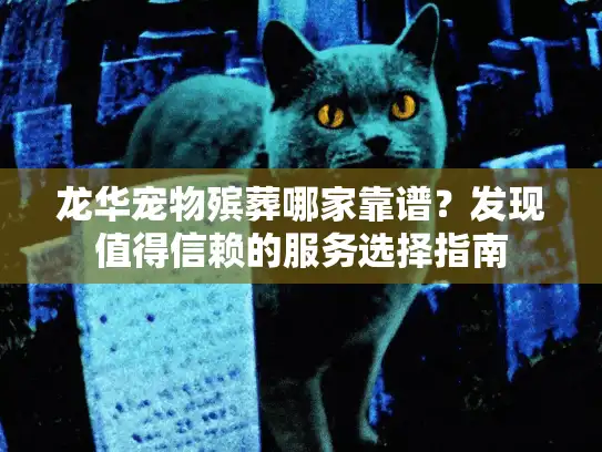 龙华宠物殡葬哪家靠谱？发现值得信赖的服务选择指南