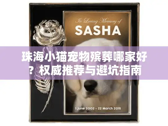 珠海小猫宠物殡葬哪家好？权威推荐与避坑指南