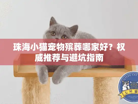 珠海小猫宠物殡葬哪家好？权威推荐与避坑指南