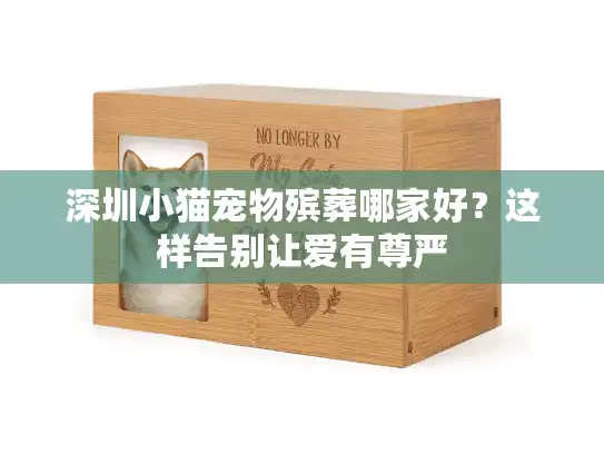 深圳小猫宠物殡葬哪家好？这样告别让爱有尊严
