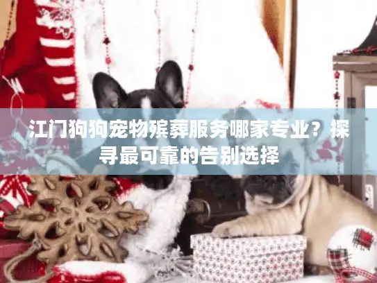 江门狗狗宠物殡葬服务哪家专业？探寻最可靠的告别选择