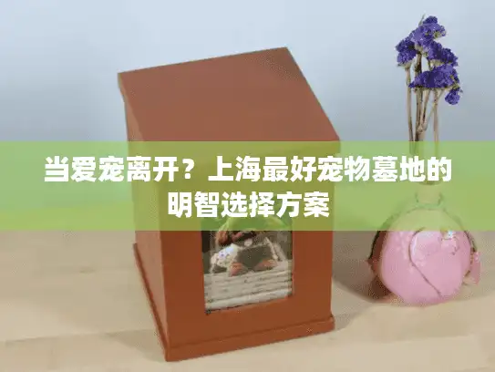 当爱宠离开？上海最好宠物墓地的明智选择方案
