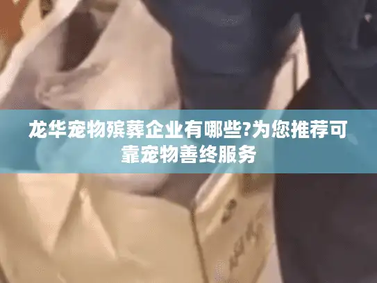 龙华宠物殡葬企业有哪些?为您推荐可靠宠物善终服务