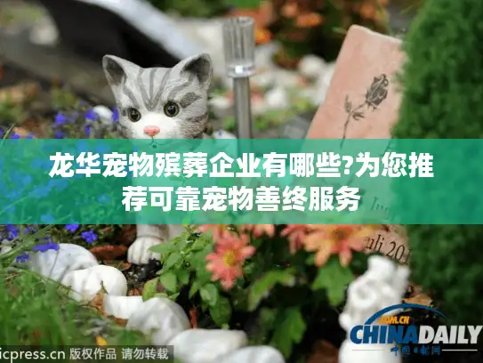 龙华宠物殡葬企业有哪些?为您推荐可靠宠物善终服务