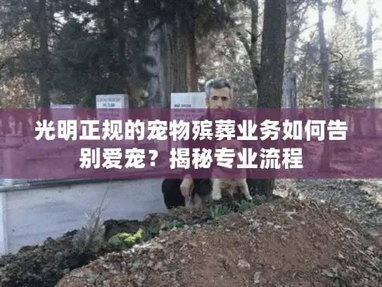 光明正规的宠物殡葬业务如何告别爱宠？揭秘专业流程