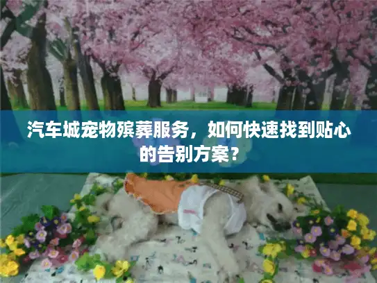汽车城宠物殡葬服务，如何快速找到贴心的告别方案？