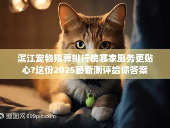 滨江宠物殡葬排行榜哪家服务更贴心?这份2025最新测评给你答案