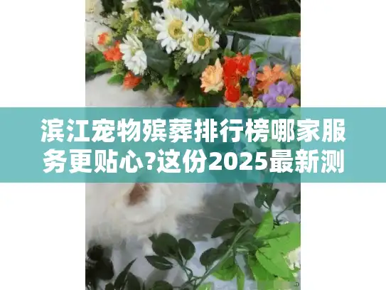 滨江宠物殡葬排行榜哪家服务更贴心?这份2025最新测评给你答案