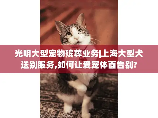光明大型宠物殡葬业务|上海大型犬送别服务,如何让爱宠体面告别?