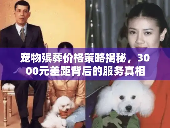 宠物殡葬价格策略揭秘，3000元差距背后的服务真相