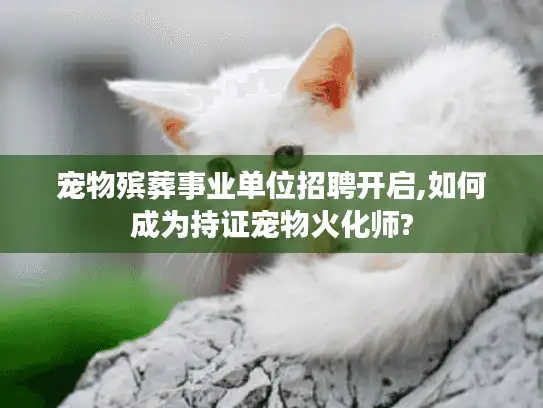 宠物殡葬事业单位招聘开启,如何成为持证宠物火化师?