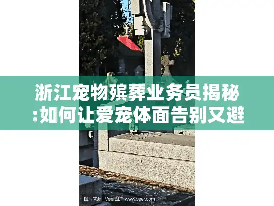 浙江宠物殡葬业务员揭秘:如何让爱宠体面告别又避免陷阱?