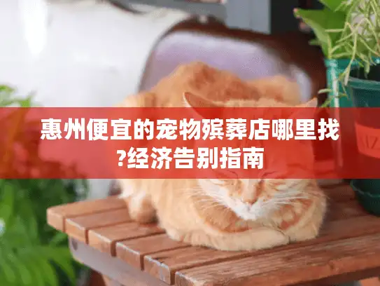 惠州便宜的宠物殡葬店哪里找?经济告别指南