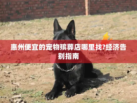 惠州便宜的宠物殡葬店哪里找?经济告别指南