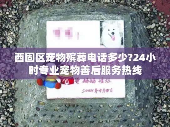 西固区宠物殡葬电话多少?24小时专业宠物善后服务热线