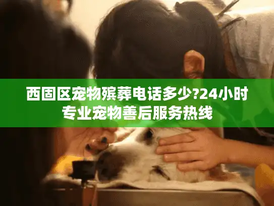 西固区宠物殡葬电话多少?24小时专业宠物善后服务热线