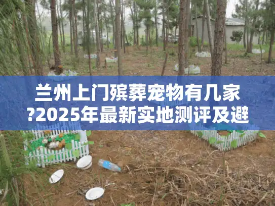 兰州上门殡葬宠物有几家?2025年最新实地测评及避坑指南