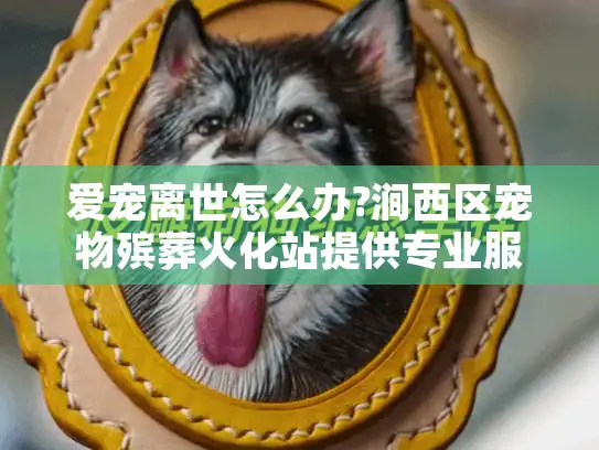 爱宠离世怎么办?涧西区宠物殡葬火化站提供专业服务